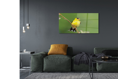 akrylový obraz žlutý papoušek