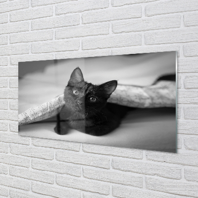 akrylový obraz Kočka pod přikrývkou