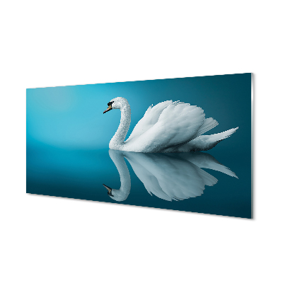akrylový obraz Swan ve vodě