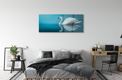 akrylový obraz Swan ve vodě