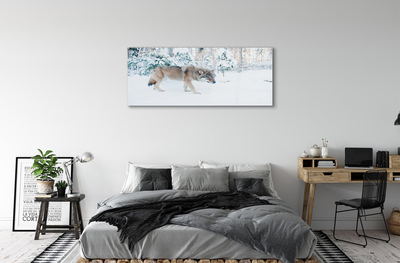 akrylový obraz Vlk v zimě lese