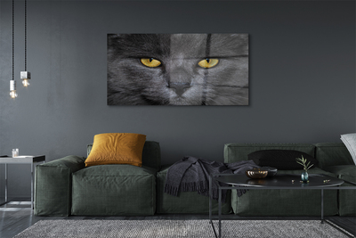 akrylový obraz Černá kočka