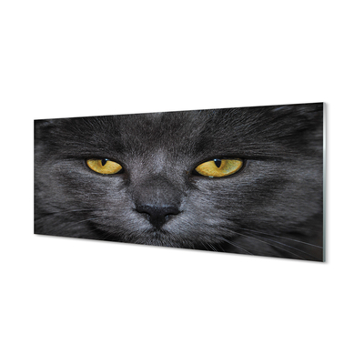 akrylový obraz Černá kočka