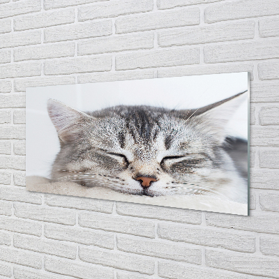 akrylový obraz ospalá kočka