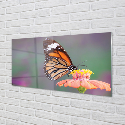 akrylový obraz Barevný motýl květina