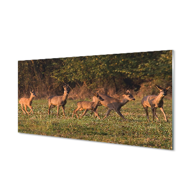 Akrylové obrazy Akrylové obrazy Deer Golf svítání