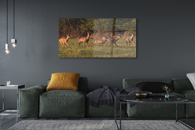 akrylový obraz Deer Golf svítání