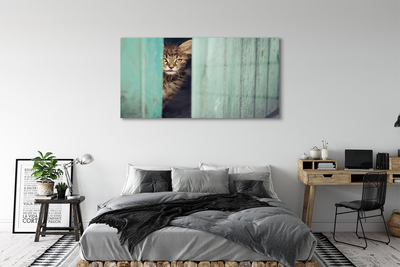 akrylový obraz Vypadající kočka