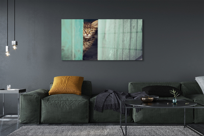akrylový obraz Vypadající kočka