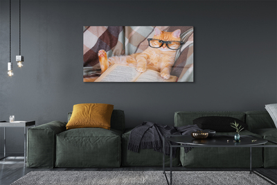 akrylový obraz Čtenář cat