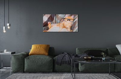 akrylový obraz Čtenář cat