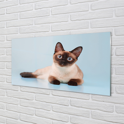 akrylový obraz ležící kočka