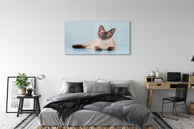 akrylový obraz ležící kočka