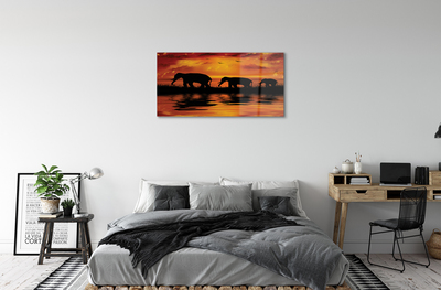 akrylový obraz sloni West Lake