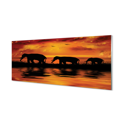 akrylový obraz sloni West Lake