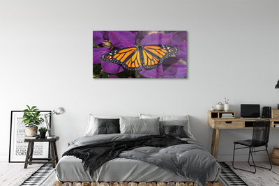 akrylový obraz Barevný motýl květiny