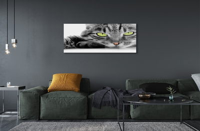 akrylový obraz Šedočerná kočka