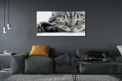 akrylový obraz Šedočerná kočka
