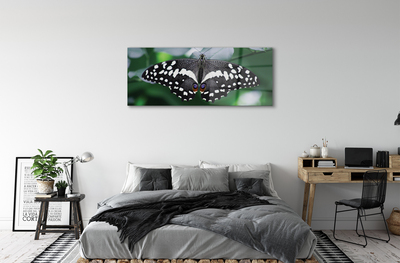 akrylový obraz Barevný motýl listí
