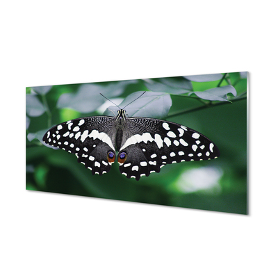 akrylový obraz Barevný motýl listí