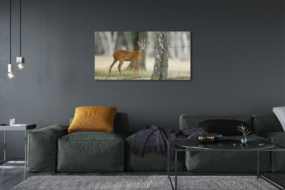 akrylový obraz jelen lesní