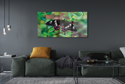 akrylový obraz List barevný motýl