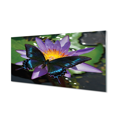 akrylový obraz motýl květina