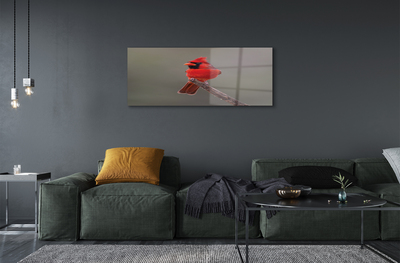 akrylový obraz Red papoušek na větvi