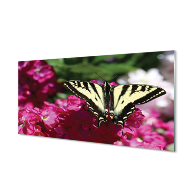 akrylový obraz květiny motýl