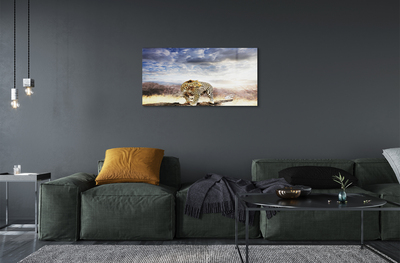 akrylový obraz panter mraky