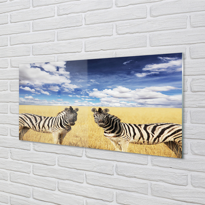 akrylový obraz zebra box