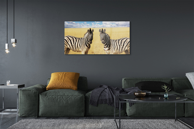 akrylový obraz zebra box