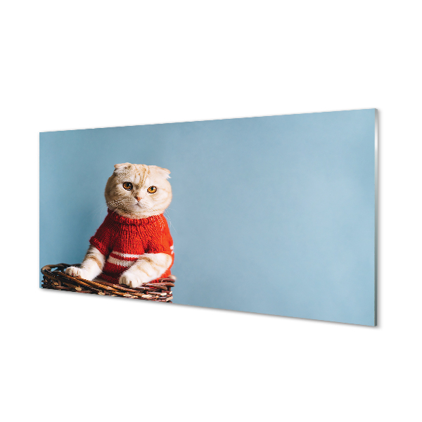akrylový obraz sedící kočka