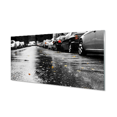 Akrylové obrazy Akrylové obrazy Car podzimní listí silnice