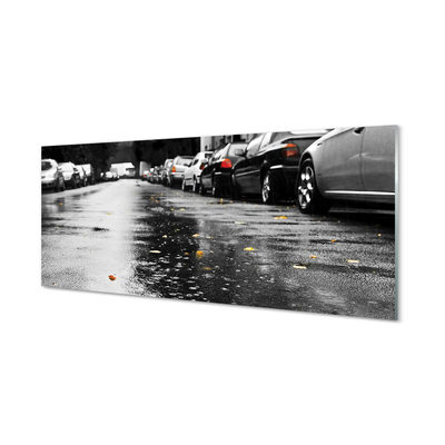 akrylový obraz Car podzimní listí silnice