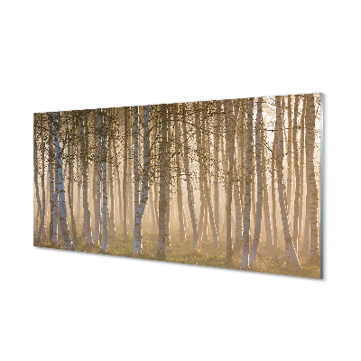 akrylový obraz Sunrise strom les