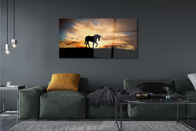akrylový obraz Unicorn sunset