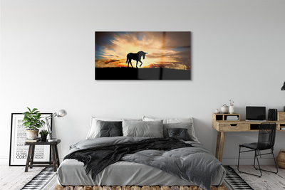 akrylový obraz Unicorn sunset