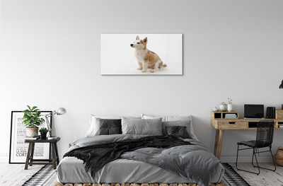 akrylový obraz Sedící malého psa