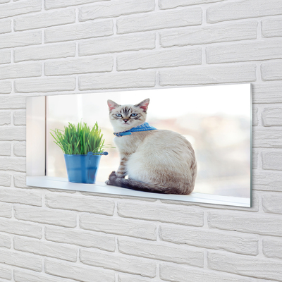 akrylový obraz sedící kočka
