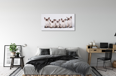 akrylový obraz malé kočky