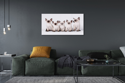 akrylový obraz malé kočky