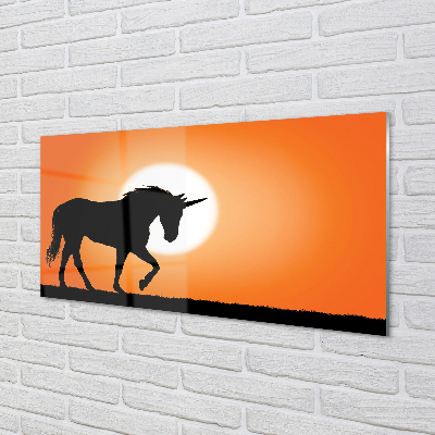 akrylový obraz Sunset Unicorn