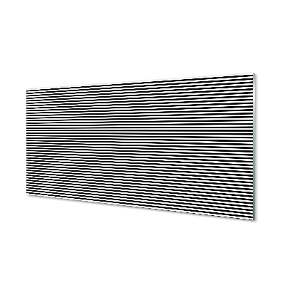 akrylový obraz zebra pruhy