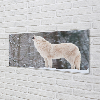 akrylový obraz Vlk v zimě lese