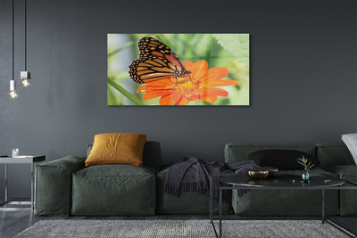 akrylový obraz Květ barevný motýl
