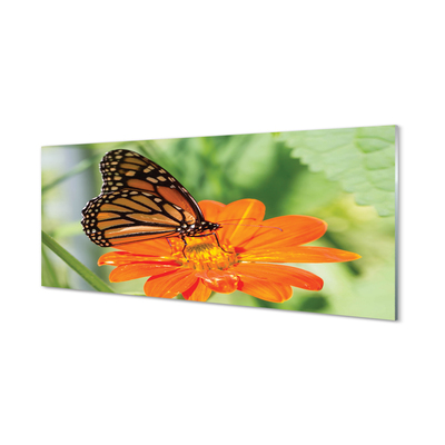 akrylový obraz Květ barevný motýl