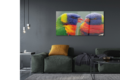 akrylový obraz barevný papoušek