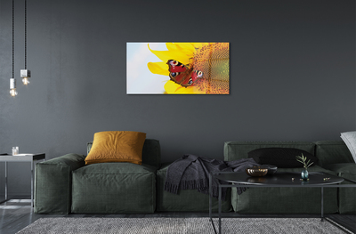 akrylový obraz slunečnice motýl