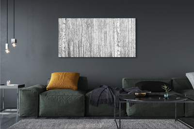 akrylový obraz Černá a bílá strom les